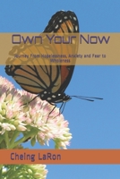 Own Your Now: Journey From Hopelessness, Anxiety and Fear to Wholeness 1093638028 Book Cover