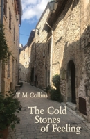 The Cold Stones of Feeling 1760419958 Book Cover