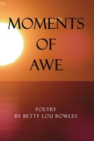 Moments of Awe B0CQRZ6156 Book Cover