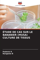 Étude de Cas Sur Le Bananier (Musa) Culture de Tissus (French Edition) 6209457592 Book Cover