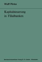 Kapitalsteuerung in Filialbanken 3409410015 Book Cover