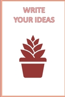 write your ideas B08422KVMM Book Cover