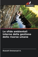 Le sfide ambientali interne della gestione delle risorse umane 620560082X Book Cover