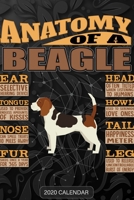 Anatomy Of A Beagle: Beagle 2020 Calendar - Customized Gift For Beagle Dog Owner 1679687859 Book Cover