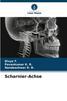 Scharnier-Achse (German Edition) 6206456250 Book Cover