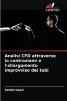 Analisi CFD attraverso la contrazione e l'allargamento improvviso dei tubi 6203352292 Book Cover