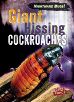Giant Hissing Cockroaches (Nightmare Bugs!) 1538292157 Book Cover