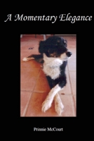 A Momentary Elegance 1304997227 Book Cover