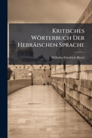 Kritisches Worterbuch Der Hebraischen Sprache 1271145308 Book Cover