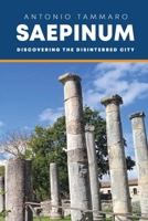 SAEPINUM: Discovering the Disinterred city B0F2MRH2B1 Book Cover