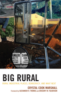Big Rural: Rural Industrial Places, Democracy, and What Next (Studies in Urban–Rural Dynamics) 1666930741 Book Cover