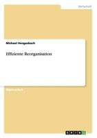 Effiziente Reorganisation 3640544994 Book Cover