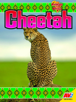 Cheetah 1791144144 Book Cover