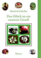 Das Glück ist ein unsteter Gesell: Roman 3757833295 Book Cover