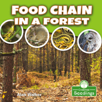 Food Chain in a Forest 1427130337 Book Cover