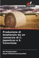 Produzione di bioetanolo da un consorzio di C. Japonicus e S. Cerevisiae (Italian Edition) 6208971764 Book Cover