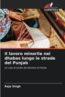 Il lavoro minorile nei dhabas lungo le strade del Punjab (Italian Edition) 620805608X Book Cover