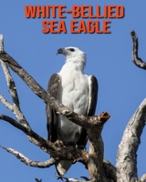 White-Bellied Sea Eagle: Fun Learning Facts About White-Bellied Sea Eagle B08MN6LDK4 Book Cover