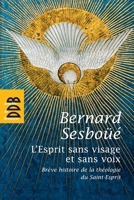 L'esprit Sans Visage Et Sans Voixbrève Histoire De La Théologie Du Saint Esprit 2220061302 Book Cover