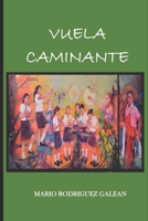 VUELA CAMINANTE: SUPERANDO ADVERSIDADES (Spanish Edition) B0DRLCZSMK Book Cover