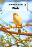 A Picture Book of Birds: A Stunning Collection of Full-Page Bird Photography for Seniors with Alzheimer's or Dementia (Picture Books for Seniors) B0DXQ3SL6V Book Cover