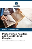 Photo-Fenton-Reaktion mit Eisen(III)-itrat-Komplex 6207266013 Book Cover