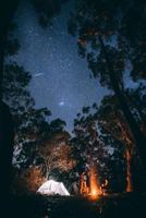 Campfire Starry Night Photo (Scenic Photo) 1729337465 Book Cover