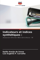 Indicateurs et indices synth?tiques 6205862670 Book Cover