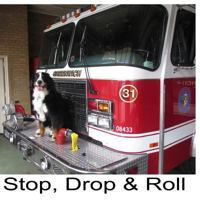 Stop, Drop & Roll 1530421772 Book Cover