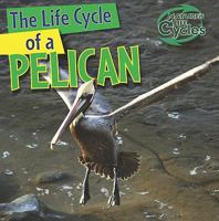 The Life Cycle of a Pelican 1433946831 Book Cover