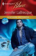 Northern Encounter 0373795793 Book Cover