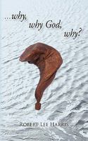 Why Why God Why? 1450276512 Book Cover