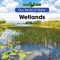 Wetlands 1502631083 Book Cover