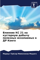 Влияние КС 21 на кустарную добычу полезных и&# 6204174649 Book Cover