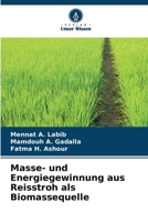 Masse- und Energiegewinnung aus Reisstroh als Biomassequelle 6206111202 Book Cover