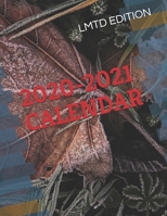 2020-2021 CALENDAR 1679361279 Book Cover