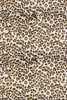 Cheetah Print Theme Primary Composition Draw and Write NoteBook: Dotted Midline and Picture Space | Grades K2 School Exercise Book | Summer Journal For Kids (BIG KINDERGARTEN WORKBOOKS) 166009609X Book Cover