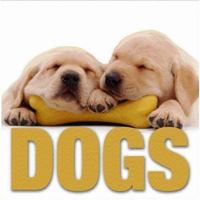 Dogs (MiniCube) 8854402230 Book Cover