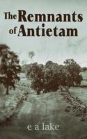 The Remnants of Antietam 1546774890 Book Cover