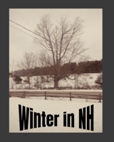 Winter In New Hampshire B092L6KWHW Book Cover