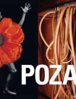 POZA: On the Polishness of Polish Contemporary Art 0971785937 Book Cover