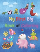 My First Big Book of Coloring: Fun with : Baby Animals, Unicorns , Plants, Kids Coloring Books Animal Coloring book For kids aged 3-8, B08KH12YPV Book Cover