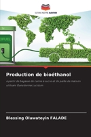 Production de bioéthanol (French Edition) 620959039X Book Cover