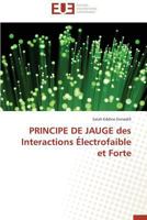 Principe de Jauge Des Interactions Électrofaible Et Forte 3841782817 Book Cover
