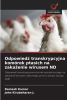Odpowiedz transkrypcyjna komórek ptasich na zakazenie wirusem ND: Odpowiedz transkrypcyjna komórek zarodka kurzego na zakazenie wirusem rzekomego pomoru drobiu (szczep D58) (Polish Edition) 6208765323 Book Cover