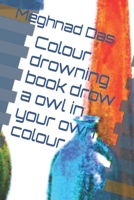Colour drowning book drow a owl in your own colour B0B2TT6PRP Book Cover
