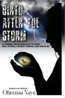 Birth After The Storm: A Journey of Infertility to Hope 9786946170 Book Cover