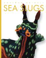 Sea Slugs (Amazing Animals) B0FBR2M7QB Book Cover