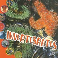 Invertebrates (What Is An Animal) 1595154191 Book Cover