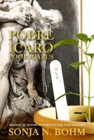 Pobre Ícaro / Poor Icarus: Bilingual Poems in Portuguese and English B0FW6GMB6Q Book Cover